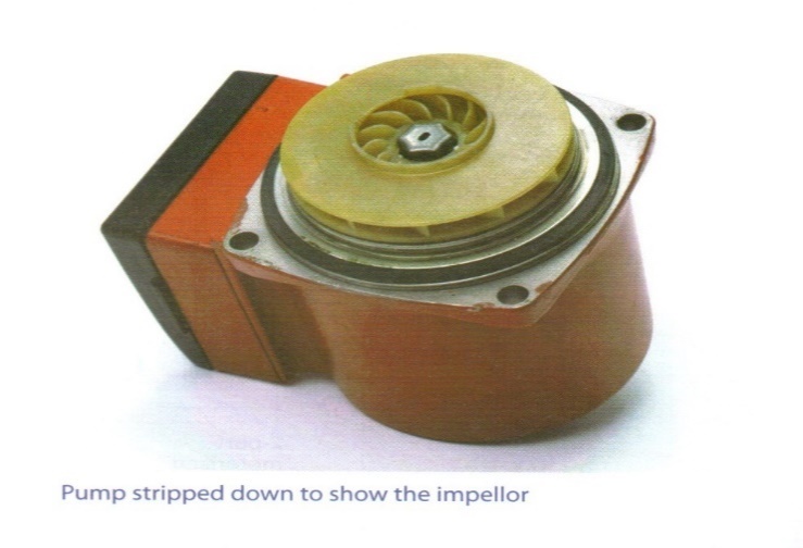 A circulating pump stripped down to show the impeller