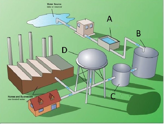 Water treatment process diagram showing the four stages: screening, sedimentation, filtration and disinfection
